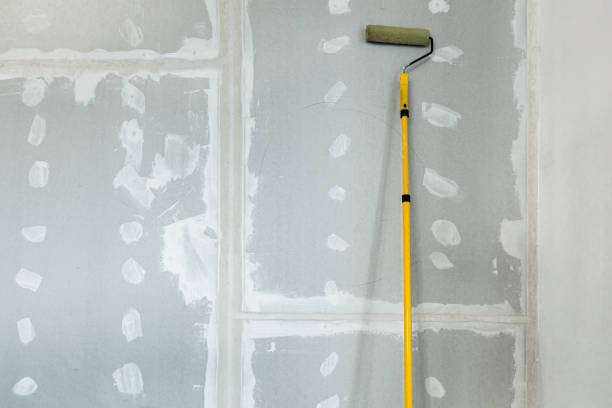 Forensic Mold Investigation in Crittenden, KY