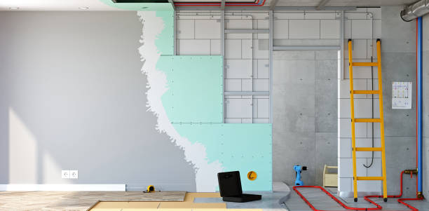 Mold Documentation for Insurance Claims in Crittenden, KY