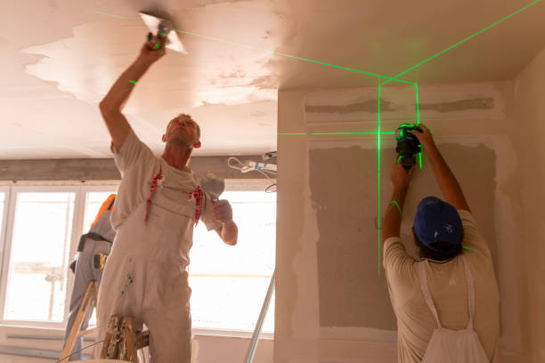 Best Real Estate Mold Inspection  in Crittenden, KY