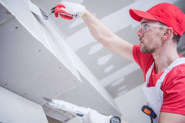 Professional Mold Removal in Crittenden, KY